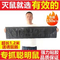 超强力加诱饵大号粘鼠板贴灭鼠器抓老鼠胶夹家用神器魔毯3张