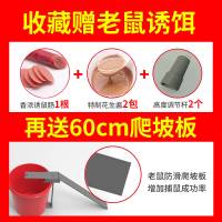 家用器全自动高效连续捕捉老鼠夹笼循环神器跷跷板灭鼠器