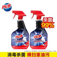 亮净实惠装去重油污剂强力渗透洁净厨房抽油烟机灶台去污去油渍 350ml*2瓶