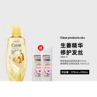 清扬清爽控油植觉净透生姜去屑滋养洗发露保湿强韧发根蓬松护理 强韧去屑精华素375ml赠洗发200