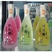 圣雪山烤花青梅果酒375ml*12