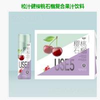 粒汁健樱桃石榴复合果汁饮料500ml*15
