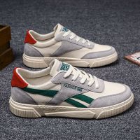 苏芈鞋子男潮鞋春秋季新款帆布鞋男潮流百搭男士透气休闲布鞋平底板鞋