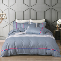 老爷车芦荟棉纳米印花四件套