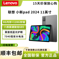 联想(Lenovo) 小新pad 2024 8G+256G 鸽子灰 11英寸平板电脑 骁龙685 莱茵硬件级低蓝光 学习模式 90Hz高清高刷护眼屏 办公娱乐影音