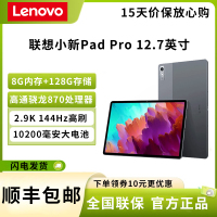 联想(Lenovo) 小新Pad Pro 12.7英寸 骁龙870 8G+128G 2023新款 2.9K屏 144Hz高刷 商务办公学习娱乐影音游戏平板电脑 鸽子灰