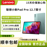 联想(Lenovo)小新Pad Pro 12.7英寸 骁龙870 8G+256G 西子绿 2023新款 2.9K屏 144Hz高刷 商务办公学习娱乐影音游戏平板电脑