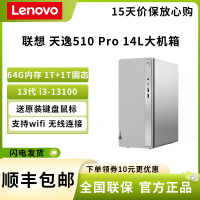 联想(Lenovo)天逸510 Pro 13代i3-13100 64GB 1T机械+1TB固态 集成显卡 单主机 WIFI 个人商务 日常办公 企业采购 台式机 电脑主机 定制版
