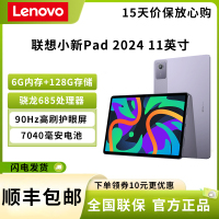 联想 小新pad 2024 6G+128G 烟霞紫 骁龙685 学生学习办公平板电脑 高清护眼全面屏 安卓平板