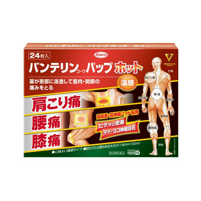 【日本直邮】KOWA兴和制药温感镇痛止痛膏药贴24片肩痛腰痛膝盖关节痛