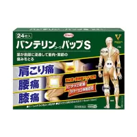 [日本直邮]日本KOWA兴和制药冷感止痛镇痛贴24片 清凉感风湿肩颈腰腿疼痛