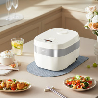 小熊（Bear）电饭煲 DFB-D30Y1