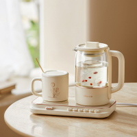 小熊（Bear）养生壶1.5L迷你烧水壶电热水壶 多功能花茶壶黑茶煮茶器YSH-B18T1