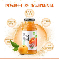 阿娜尔汗小白杏汁饮料260ml