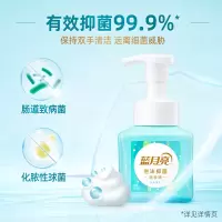 蓝月亮鲜果薄荷泡沫抑菌洗手液255ml