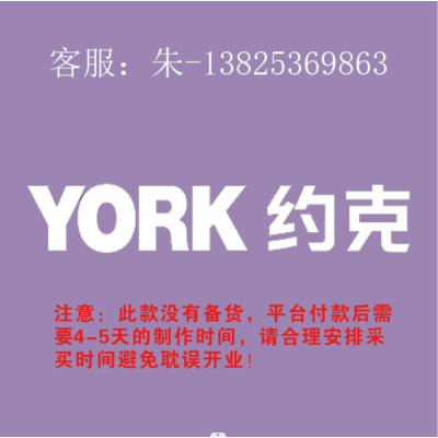 3.0专用室内logo 200H 发光字-YORK 约克-云创标识