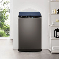 海尔(Haier)洗衣机EB100B20Mate1 全自动直驱变频波轮 10公斤大容量 蝶型水流超净洗