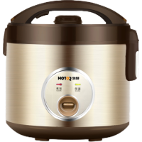 云南浩特电饭煲RPG4305N 3升