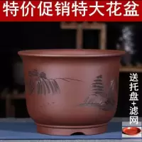 紫砂花盆特大君子兰专用盆陶瓷花盆兰花盆景植物盆栽花卉