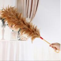 鸡毛掸子塑料掸子家用车用不掉毛 55厘米挂钩