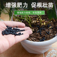 肥家用花肥通用型肥料花卉阳台室内养花氮磷钾肥蔬花盆栽50g