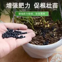 肥家用花肥通用型肥料花卉阳台室内养花氮磷钾肥蔬花盆栽50g