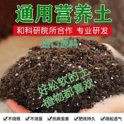 多肉植物颗粒土法师玉露生石花小苗老桩通用土绿萝花卉种菜营养土