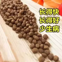 龟粮乌龟饲料虾干南石金钱龟鳄龟陆乌龟草龟小乌龟龟粮巴西龟饲料