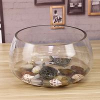 鱼缸玻璃圆形办公桌绿萝水培家用小鱼创意透明小型迷你桌面乌龟缸