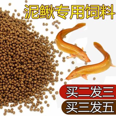 泥鳅饲料观赏黄金泥鳅鱼食粮泥鳅苗开口小颗粒金龙鳅台湾泥鳅饲料