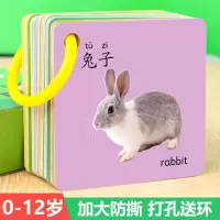 幼儿动物卡片0-6岁宝宝学习有图早教动物交通识图看图识物认字卡