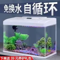 2024自循环金鱼缸玻璃小型桌面客厅家用懒人免换水生态水族箱