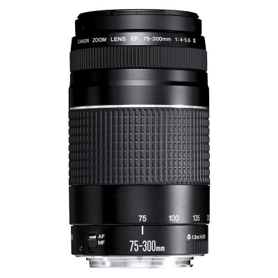 [二手99新]佳能(Canon) 75-300 III镜头 标准变焦单反相机镜头 拆机镜头 标准人像镜头