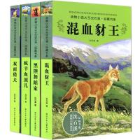沈石溪动物小说疤脸狮王绝境血狼狼兄狼弟狼王梦中小学生课外必读 混血豺王4册