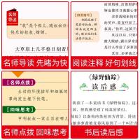 绿野仙踪 书正版小学生课外读物阅读书籍三四五六年级必读课外书