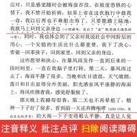 鲁滨逊漂流记汤姆索亚历险记六年级下册必读课外书经典书目读物 汤姆索亚历险记