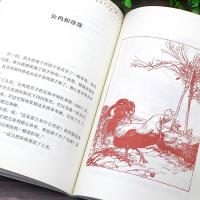 权威译本 伊索寓言 小学生版三四五六年级必读广西师范大学出版社 名校注音 伊索寓言