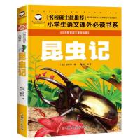 昆虫记 注音彩图版 名校班主任推荐小学生一二年级课外阅读书籍