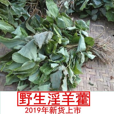 野生仙灵脾羊合叶淫羊藿叶野生淫羊藿茶可配锁阳肉苁蓉 野生淫羊藿100克