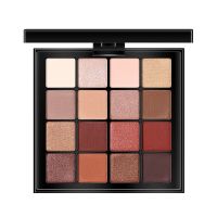 李佳琦推荐眼影盘ins超火闪粉珠光防水平价小众学生大地色初学者 单个眼影盘