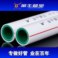 武汉金牛管业ppr管双层管冷热水管4分206分25热熔管纳米抗菌管件 金牛20x2.8管双层4米1根