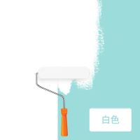 孚乐世乳胶漆白色彩色净味5合1水漆家用内墙涂料漆刷墙面室内自刷 白色 600G