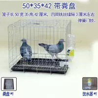 鸽子笼养殖笼鸽子配对笼清仓笼子大型大号繁殖鸽笼鸽子笼家用 50*35*42cm(带饮水器1个) 带 配套粪盘