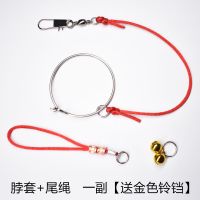 鸟用脖套 虎皮鹦鹉八哥脚链脚环 画眉黄鹂蜡嘴伯劳八哥脖绳训练绳 脖套+尾绳[20cm 送金铃铛口哨]