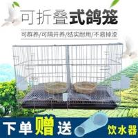 鸽子笼大号家用折叠带隔断鸽子笼配对养殖繁殖笼子鸽子用具鸽棚 带托盘 35*25*30cm