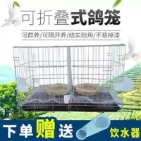 鸽子笼大号家用折叠带隔断鸽子笼配对养殖繁殖笼子鸽子用具鸽棚 带托盘 35*25*30cm