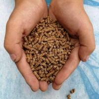 正大 大鸡配合颗粒饲料 鸡 鸭 鹅 鸽子鸟类颗粒饲料一份5斤 凤凰中鸭颗粒饲料5斤