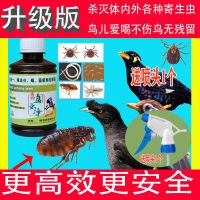 鸟用体内体外驱虫啄羽症消瘦鸽子八哥鹩哥画眉鹦鹉咬毛掉毛 1瓶升级款鸟虫净送1个喷头()