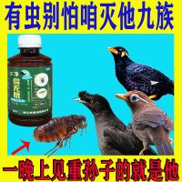 鸟类体内体外驱虫鹩哥八哥鹦鹉画眉鸽子除螨掉毛血便精神差抗拉稀 1瓶虫净鸟无忧