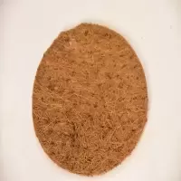 鸽子用品用具防侧翻鸽子窝信鸽孵化窝草窝塑料窝巢盆棕垫棉垫 棕垫（5个装）